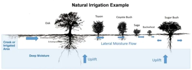 https://calscape.org/planting-guide.php