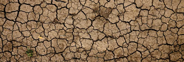 cracked earth