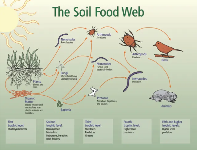 soil web