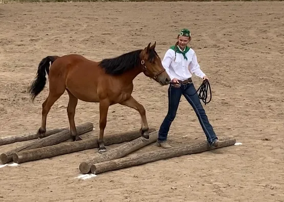 Maddi leads Fiona through the obstacle course.