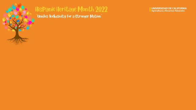 HHM Background 4