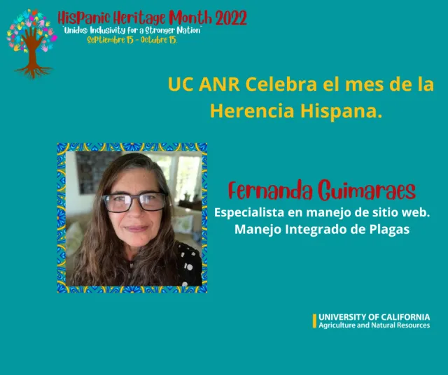 FERNANDA GUIMAREZ - SP