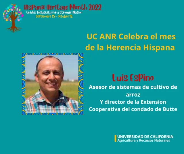 Luis Espino - SP