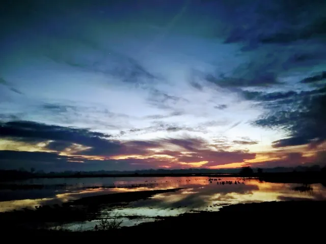 Su-Lin Photo#3 Consumnes River Preserve