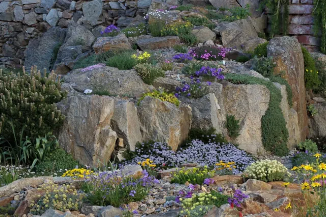 Hana Zíková's crevice garden in the Czech Republic. Paul Spriggs, New York Times, 8/3/22