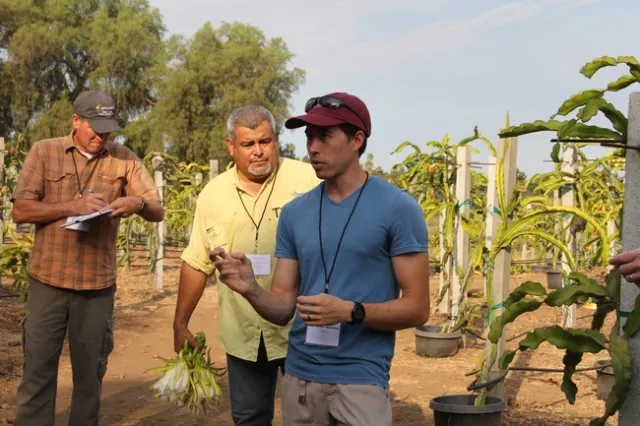 Three men: one man is taking notes, one is holding a plant and the other is speaking to a crowd.