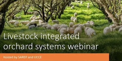 Webinar image
