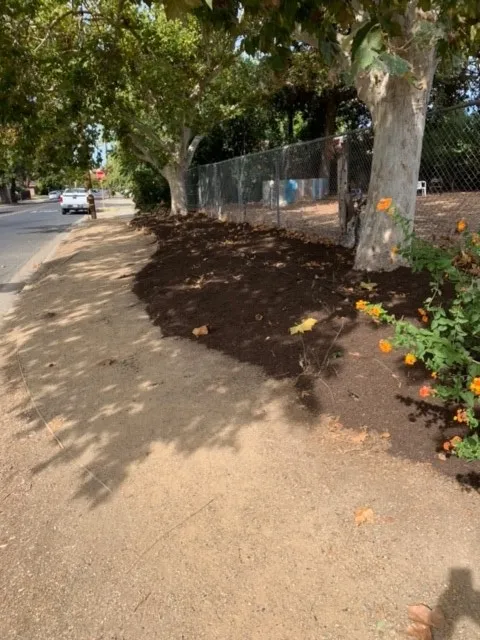 PollinatorGarden-03
