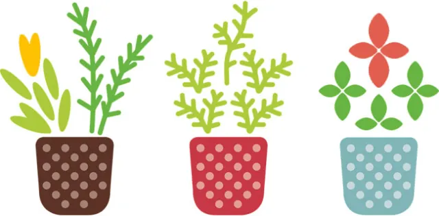 Container Gardening