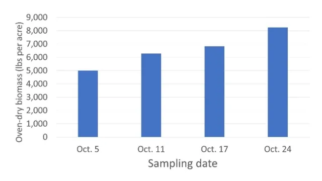 Figure 3. Merced rye cover crop biomass changes over time.