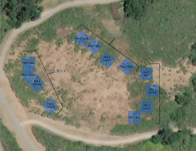 Plot Layout
