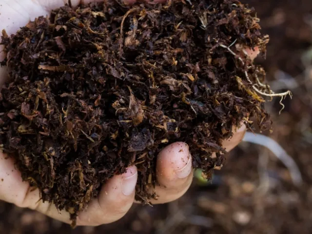 soil