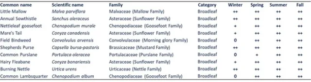INSV Table