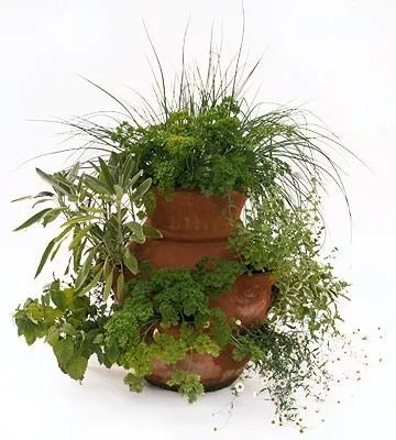 HerbsQ12023f