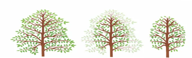 Pruning bushes