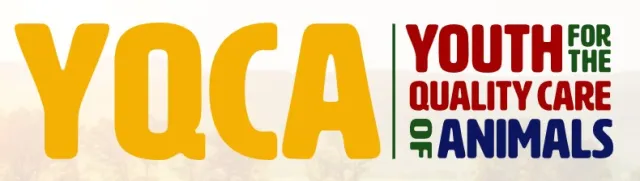 YQAC