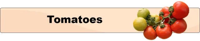 Tomatoes_button