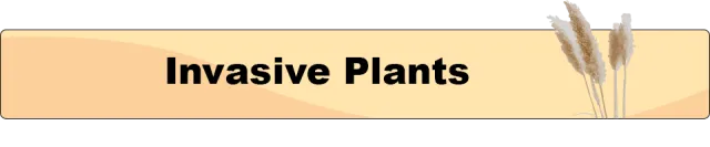 Invasive-Plants_button