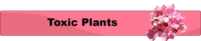 Toxic-Plants_button