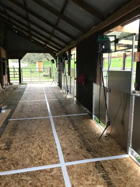 Shearing barn