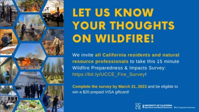 Fire survey