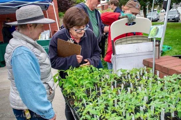 GTPS Article Photo
