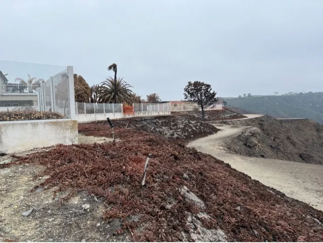 La reducción de material combustible en la pendiente y la barrera de vidrio templado ayudaron a interrumpir el incendio forestal Coastal. Es muy probable que estas acciones previnieron una gran tragedia. Fotografía por Yana Valachovic