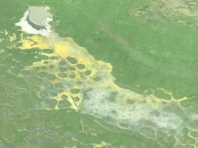Vernalpool.