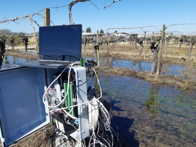 Los investigadores de UC analizaron información de esta caja que registro la humedad del suelo, temperatura, niveles de oxígeno y otras medidas a varios niveles de profundidad en los viñedos inundados. Fotografía por Elad Levintal