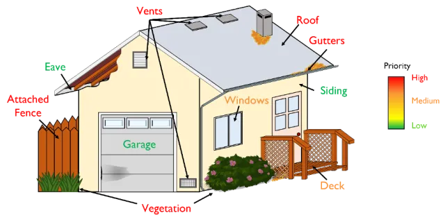 Picture1