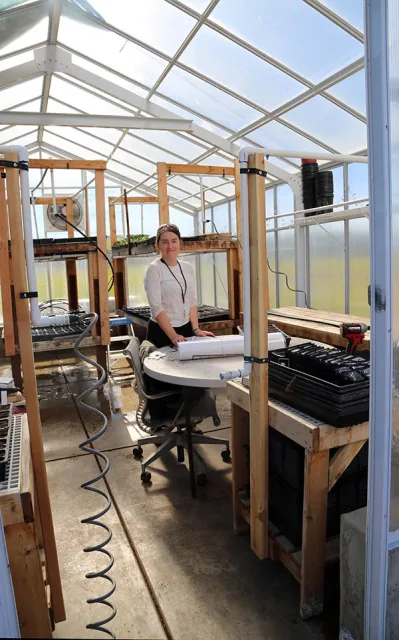 Intern Shanelle works in FHF greenhouse - Courtesy Hedwig van den Broeck
