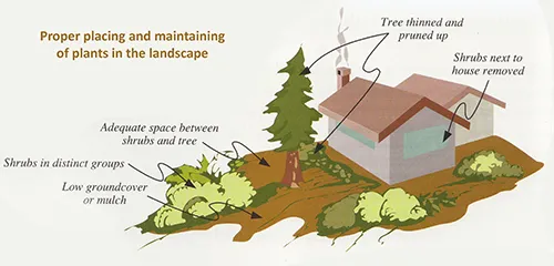 Placing and Maintenance - Courtesy EBMUD