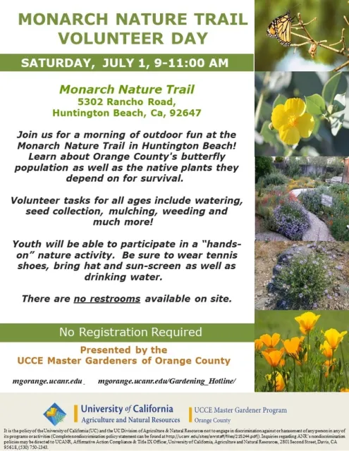 Join Us For A Morning With Orange County's Butterfly Population