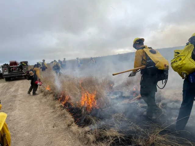Practicing using a drip torch to light a fire and backpack sprayers to put out fire at the Nyland property.