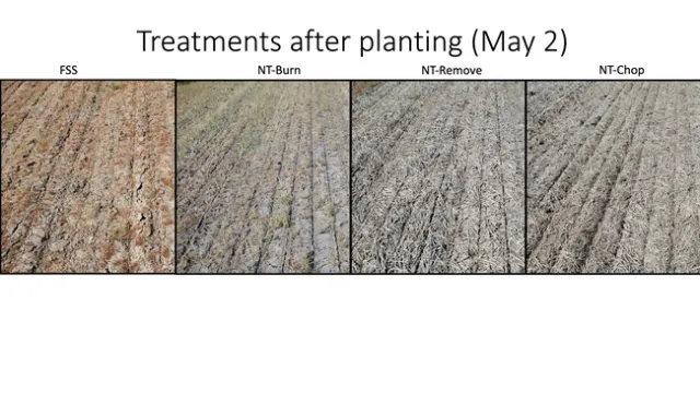 Slide2