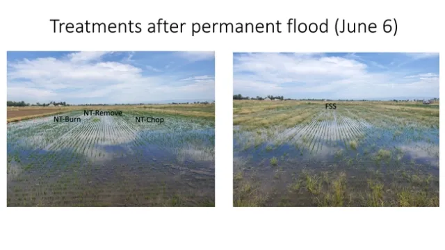 Slide3