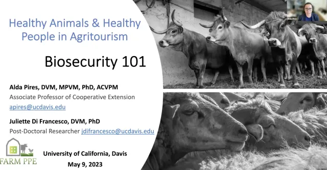 Webinar