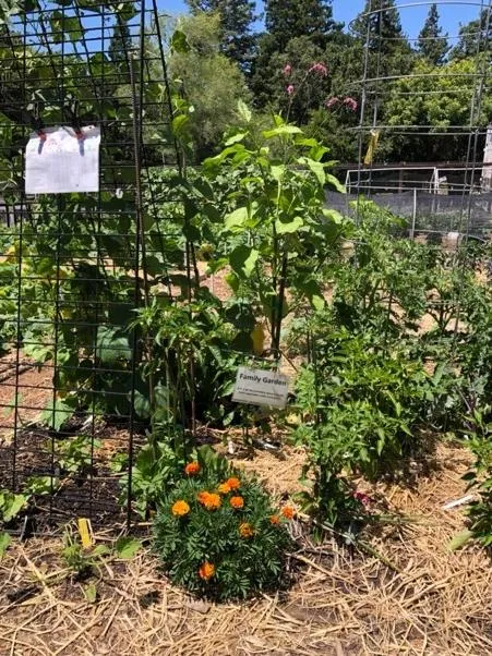 FamilyGarden_Buckholdt