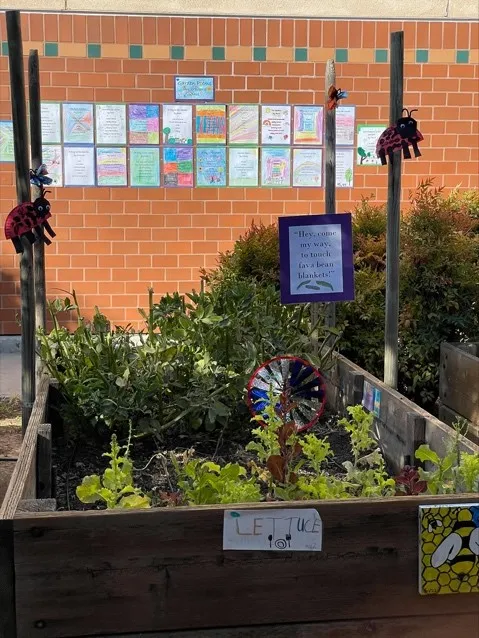 SchoolGardenJackLondonElementary_Verhoef