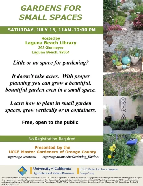 Unlock the Magic of Small Gardens: Learn How to Grow Beautifully in Limited Space