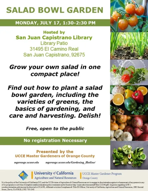 Salad Lovers, Rejoice! Learn How to Grow Your Own Salad Bowl Garden