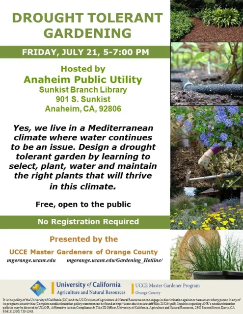Thrive in a Water-Wise Oasis: Create Your Drought-Tolerant Garden Today!