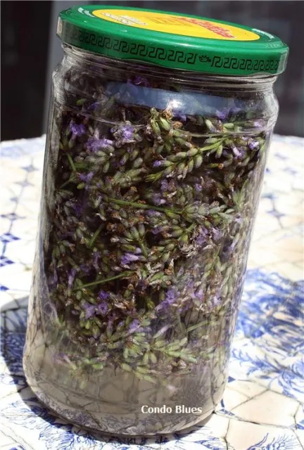 2023Q3 lavender02