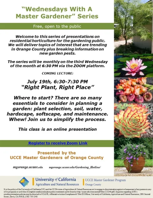 Planning a Garden? Start Here: Join Our Free Zoom Event