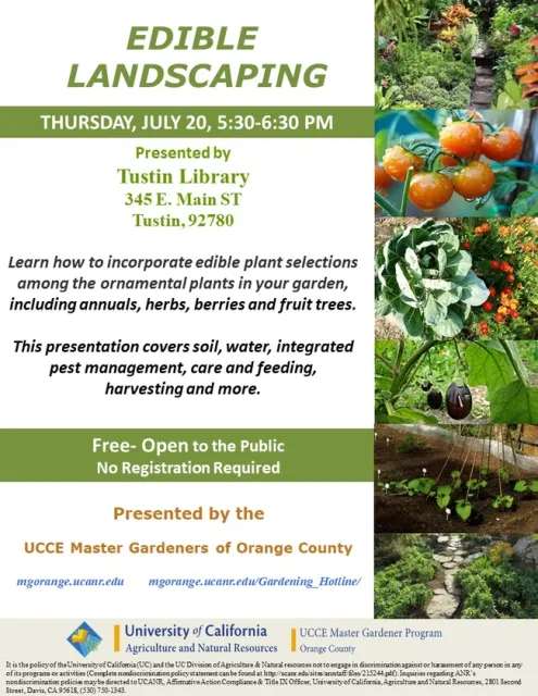 Unleash the Potential of Your Garden: Edible Plants among Ornamentals - Expert Insights
