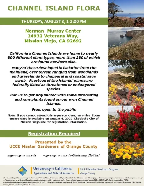 Embark on a Botanical Adventure: Explore the Rare and Intriguing Plants of California's Channel Islands