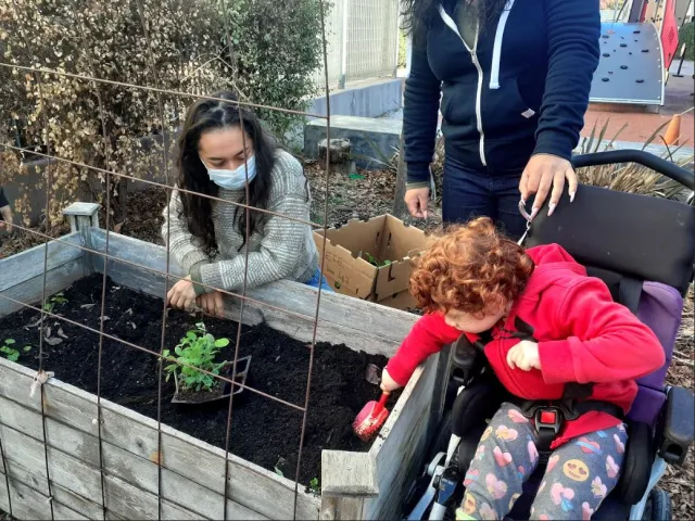 garden making