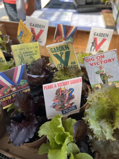 Photo of old victory garden signs
