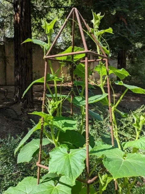 obelisk