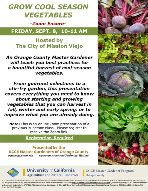 Zoominar Alert: Discover Secrets to Thriving Cool-Season Veggie Gardens